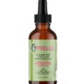 20230613-Mielle_RM-Render_Oil-C_600x
