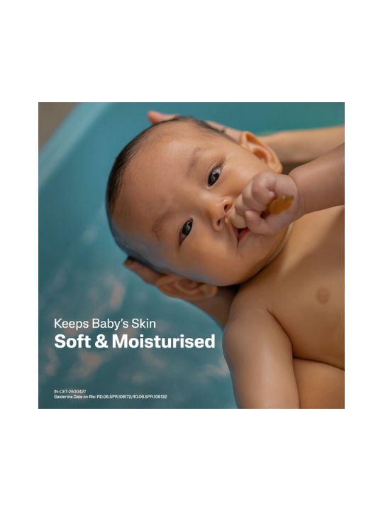 Web Photo 540x720 - 2025-11-05T234806.791 Web Photo 540x720 - 2025-11-05T234806.791